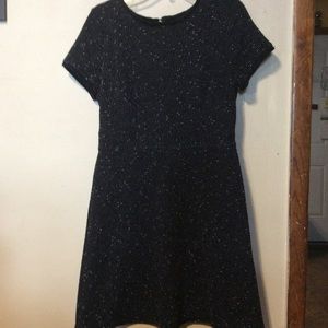 Women’s The Loft Fit n Flare Dress Black Size 10P